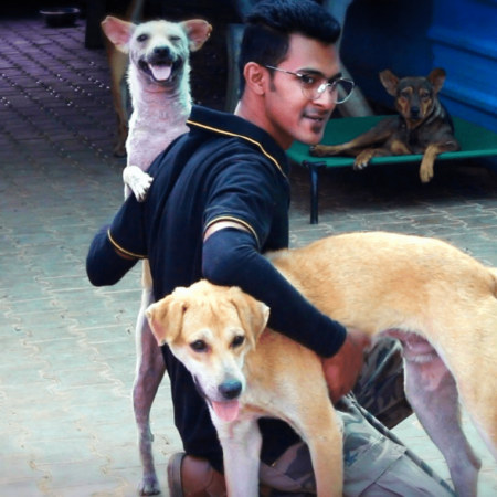 Sarvoham Animal Foundation